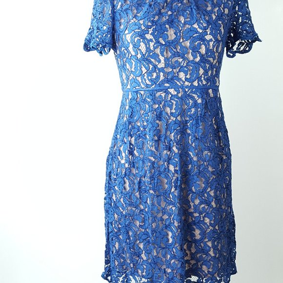 Coldwater Creek Women p12 Royal Blue Lace Overlay Lined Dress - Picture 3 of 12